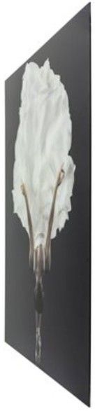 YHD Ballet Grace Print-3