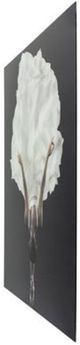 YHD Ballet Grace Print-3