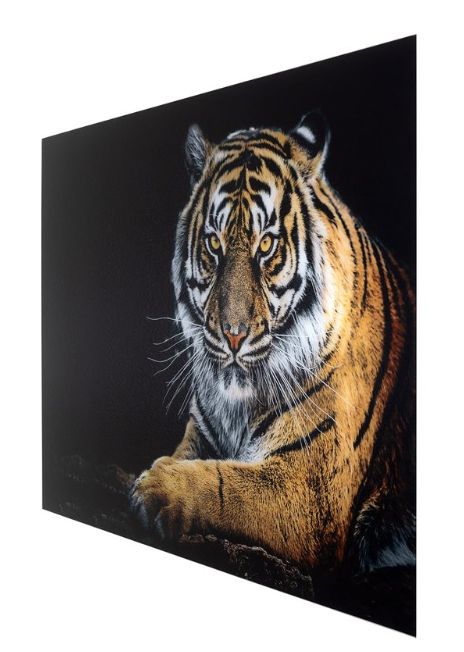 YHD Tigris II Wall Art-2
