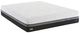 Sealy® Conform™ Premium™ N13 Wondrous Gel Memory Foam Ulta Plush Tight Smooth Top Twin XL Mattress-0