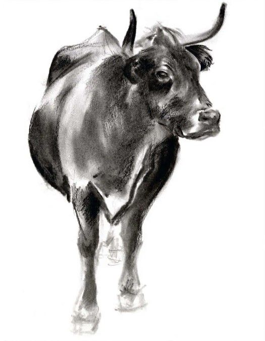 Classy Art Charcoal Cattle I by Jennifer Paxton Parker Wall Art-1