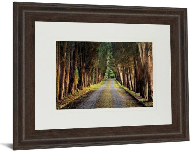 Classy Art Brown/Green Tree Tunnel By William Guion and Mossy Oak Native Living Framed Print Wall Art-0