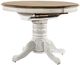 Liberty Furniture Carolina Crossing Antique Honey Pedestal Dining Table with White Base-2