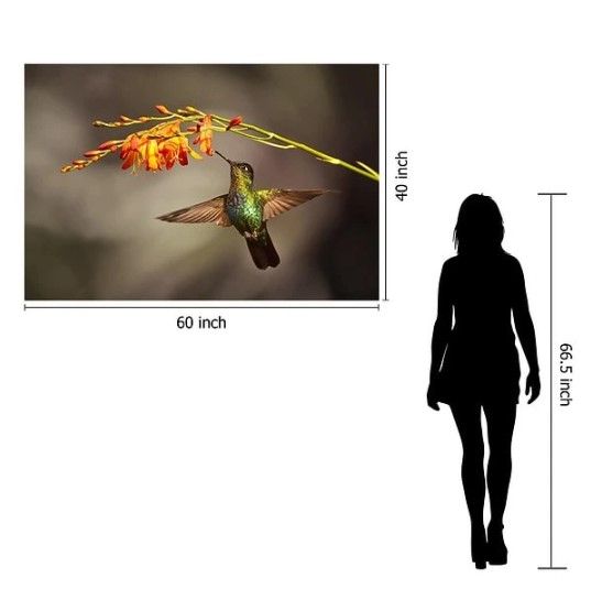 Classy Art Hummingbird Tempered Glass with Foil Wall Art-2