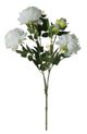 A & B Home White Peony -0