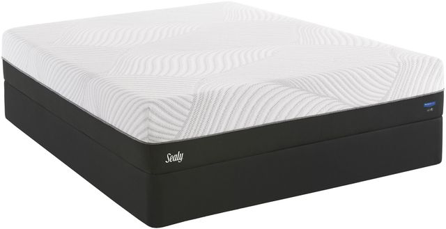 Sealy® Conform™ Performance™ High Spirits N5 Gel Memory Foam Firm Tight Top Queen Mattress-3