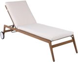 Brown-Cream