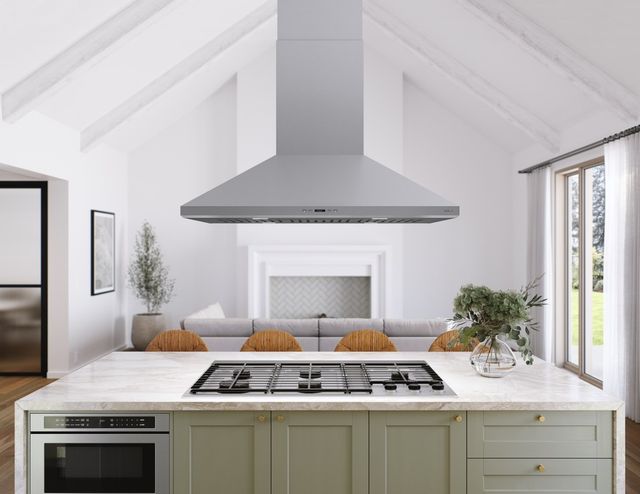 Zephyr Siena Pro 42" Stainless Steel Island Range Hood-3