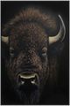 Crestview Hyde Canvas Wall Art-0