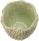 A & B Home Natural Green Planter-1