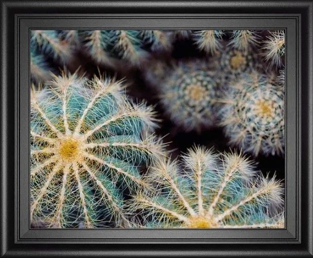 Classy Art Namib By Irene Suchocki Wall Art-1