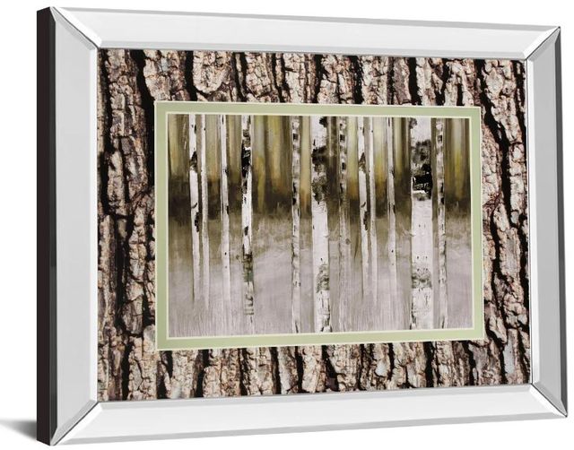 Classy Art Fern Creek by Susan Jill Double Matted Mirror Framed Wall Art-1