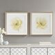 Olliix by Madison Park Signature Ivory Ladies Rose 2 Piece Ivory Glass Framed Graphic Single Floating Mat Set-4