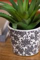 A & B Home 3-Piece Black Herb Pot Set-5