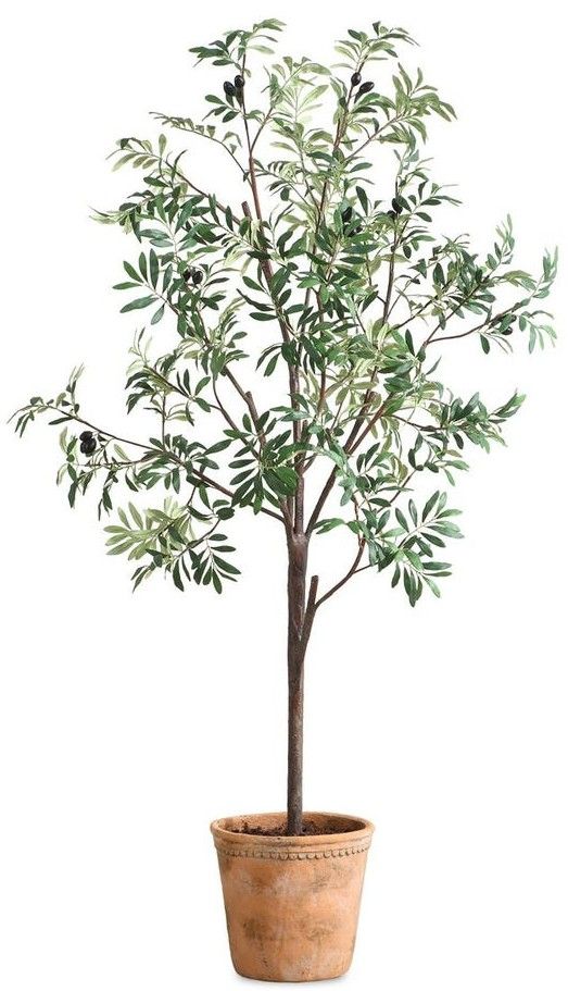 Uttermost® Olea Green/Terracotta Potted Tree-0