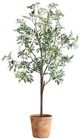Uttermost® Olea Green/Terracotta Potted Tree-0