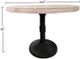 Nest Home Collections Sadie White Wash Round Counter Table with Iron Base-2