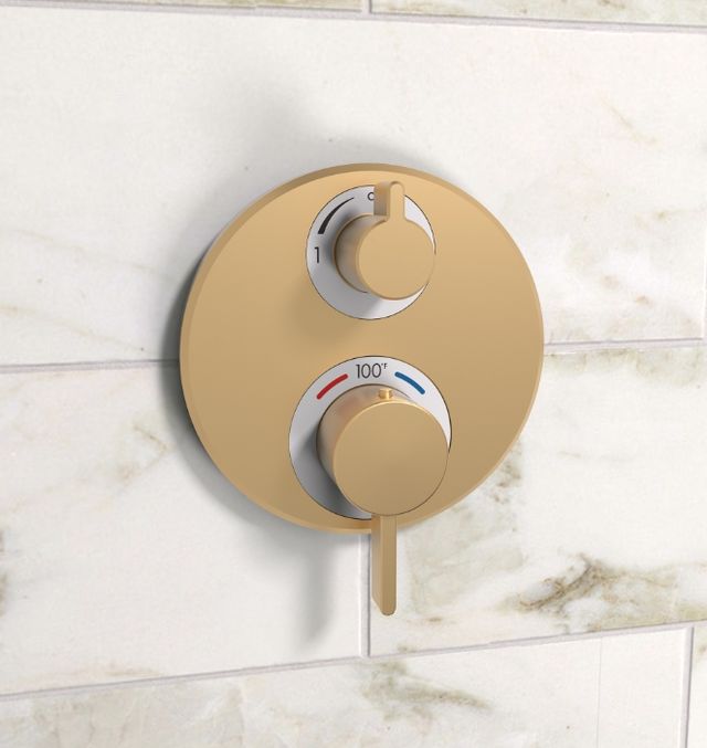 Hansgrohe Ecostat S Brushed Bronze Thermostatic Trim with Volume Control and Diverter-1