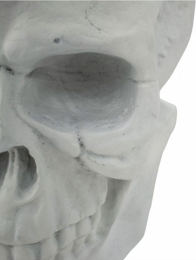 Moe's Home Collection Braincase White Skull Statue-1