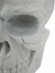 Moe's Home Collection Braincase White Skull Statue-1