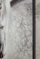 Signature Design by Ashley® Archerwick Wall Art-3
