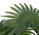 A & B Home Green 31.5" Fern Tree in Pot-2