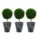 A & B Home 3-Piece Green Faux Single Ball-Shape Topiary with Black Pot Set-0
