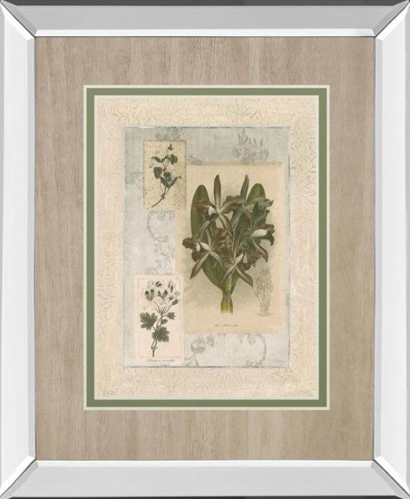 Classy Art Histoire Du Orchid VIl by Carney Wall Art-0