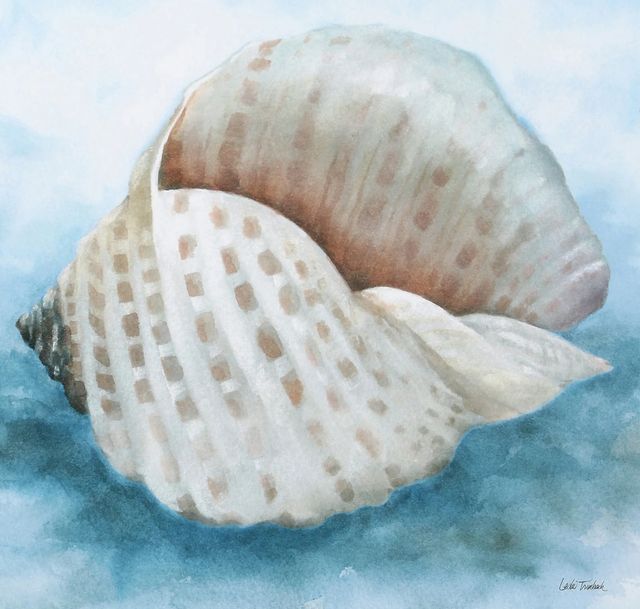 Stylecraft Coastal Calm III Wall Art-1
