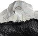Crestview Collection White Wash Flowers Wall Sculpture-2