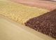 Signature Design by Ashley® Gailmore Cream/Ocher/Pink 5'x7' Area Rug-1