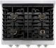 ZLINE Paramount 30" Stainless Steel Pro Style Dual Fuel Range-4