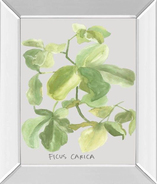 Classy Art Ficus Carica by Katrien Soeffers Mirror Framed Wall Art-0