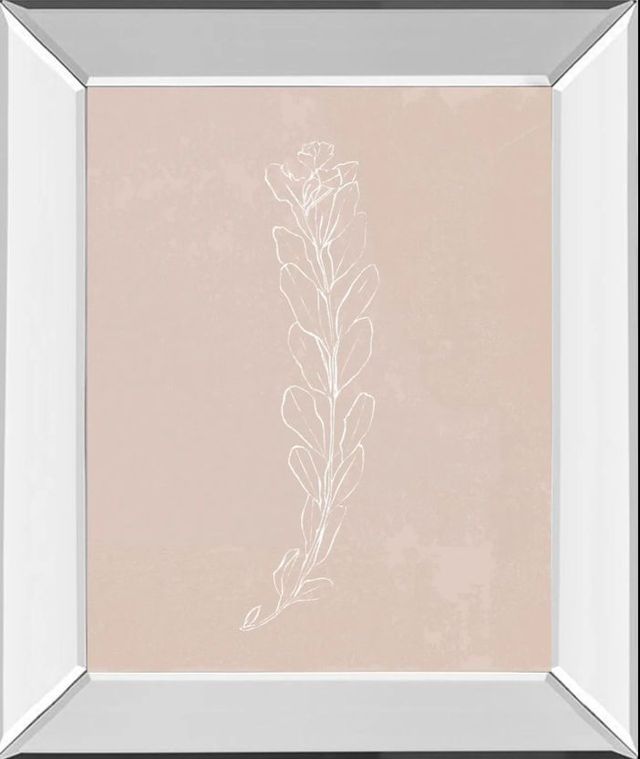 Classy Art Blush Bloom II by Annie Warren Mirror Framed Wall Art-0