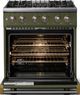 Viking® 5 Series 30" Martini Pro Style Dual Fuel (NG) Range with Brushed Brass Trim-1