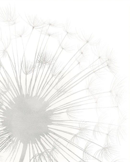 Classy Art Dandelion Whisper I by Grace Popp Wall Art-1