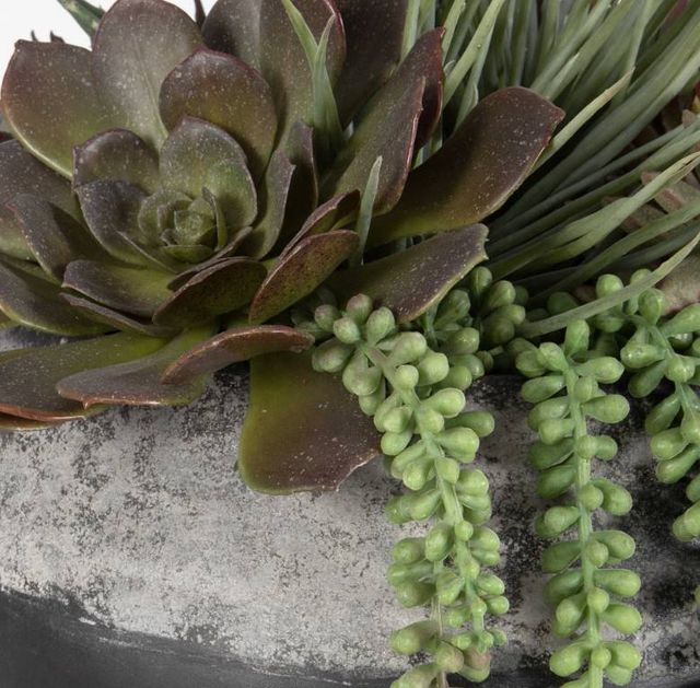 Uttermost® Yuma Burgundy/Green Succulent Centerpiece-4