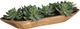 Uttermost® Yuma Brown/Green Succulent Centerpiece-0