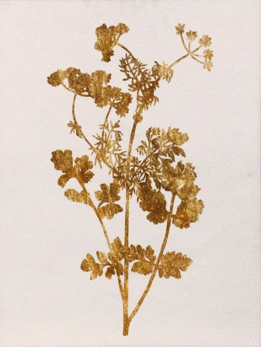 StyleCraft Pressed Foliage ll Wall Art-1