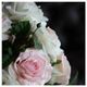 A & B Home Cream 26" Faux Rose-2