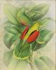 Stylecraft Tamara Day for Stylecraft Naturalist Archive VI Wall Art-1