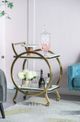 A & B Home Quentin Gold/Ivory Bar Cart-4