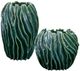 Uttermost® Veridian Ridge 2-Piece Green Indoor-Outdoor Ceramic Vase Set-0