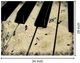 Classy Living Musical Abstract Wall Art-2