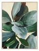 Stylecraft Plant Study I Green Wall Art-0