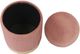 TOV Furniture Zoe Blush Velvet Storage Ottoman-1