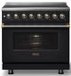 Viking® 5 Series 36" Onyx Pro Style Induction Range with Brushed Brass Trim-3