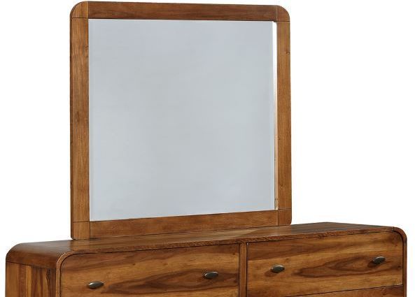 Coaster® Robyn Dark Walnut Dresser Mirror-1