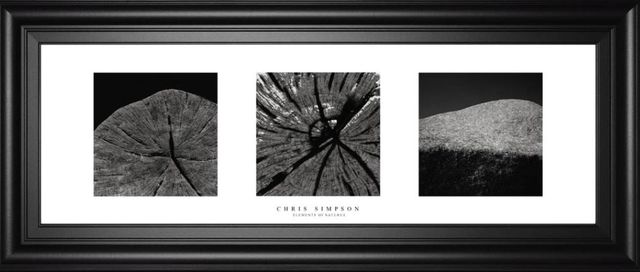Classy Art Elements of Nature 2 by Chris Simpson Framed Print Wall Art-1