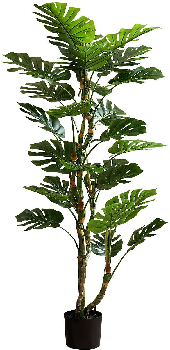 Monarch Specialties Inc. Black/Green 61" Indoor Artificial Monstera Tree with 7" Pot-0